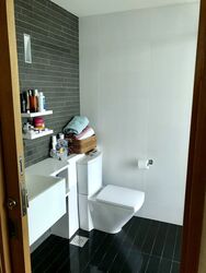 Park Infinia At Wee Nam (D11), Condominium #638244631